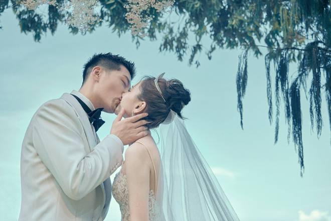 过年期间开车带狗狗回家要注意什么？